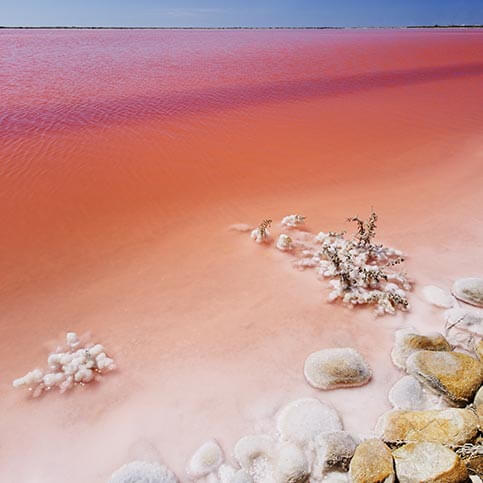 marais salants camargue